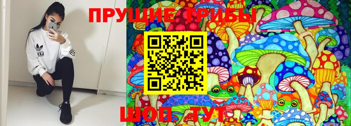 Галлюциногенные грибы Psilocybine cubensis Геленджик