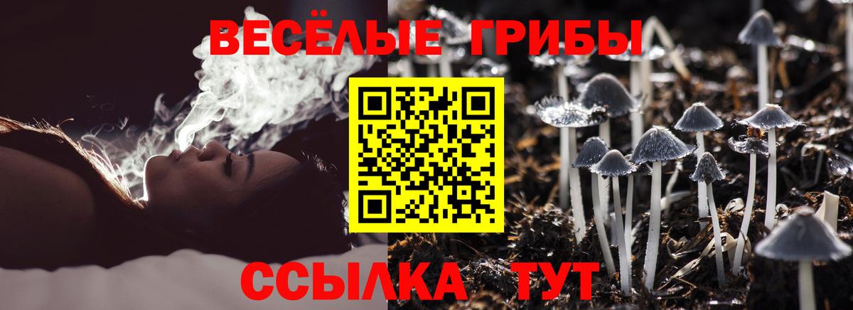 даркнет сайт  Галлюциногенные грибы MAGIC MUSHROOMS  Вход с VPN  Геленджик 